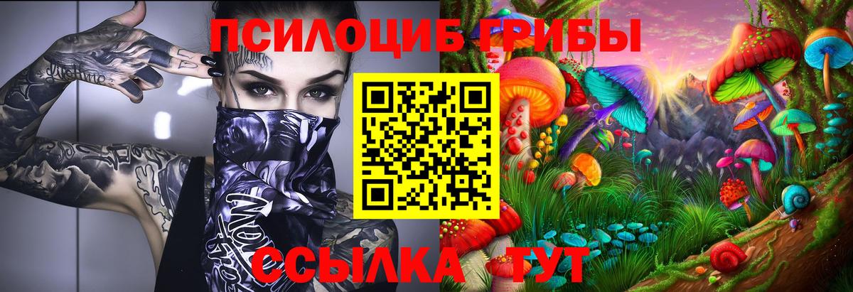 Галлюциногенные грибы Cubensis  Псилоцибиновые грибы ЛСД  Вход с VPN  Нижний Новгород 